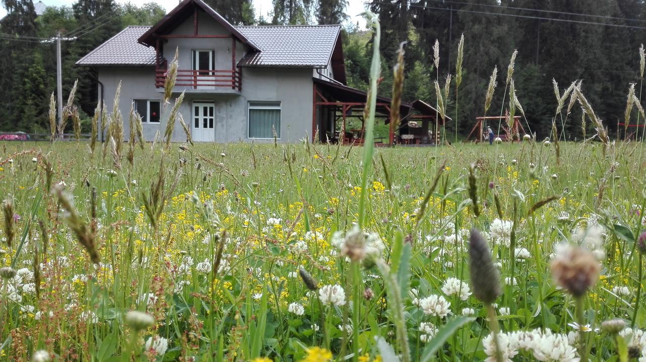 Cabana Georgiana Арієшень Екстер'єр фото
